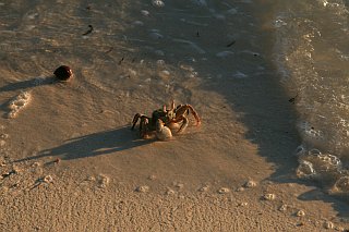 Sch***e, ich muss wohl doch in's Wasser...